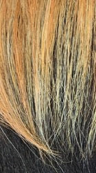 Awesome Good Hair Day Human Hair Blend Wig-Sandie