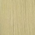 Sensationnel Synthetic Hair Butta HD Lace Front Wig - BUTTA UNIT 8